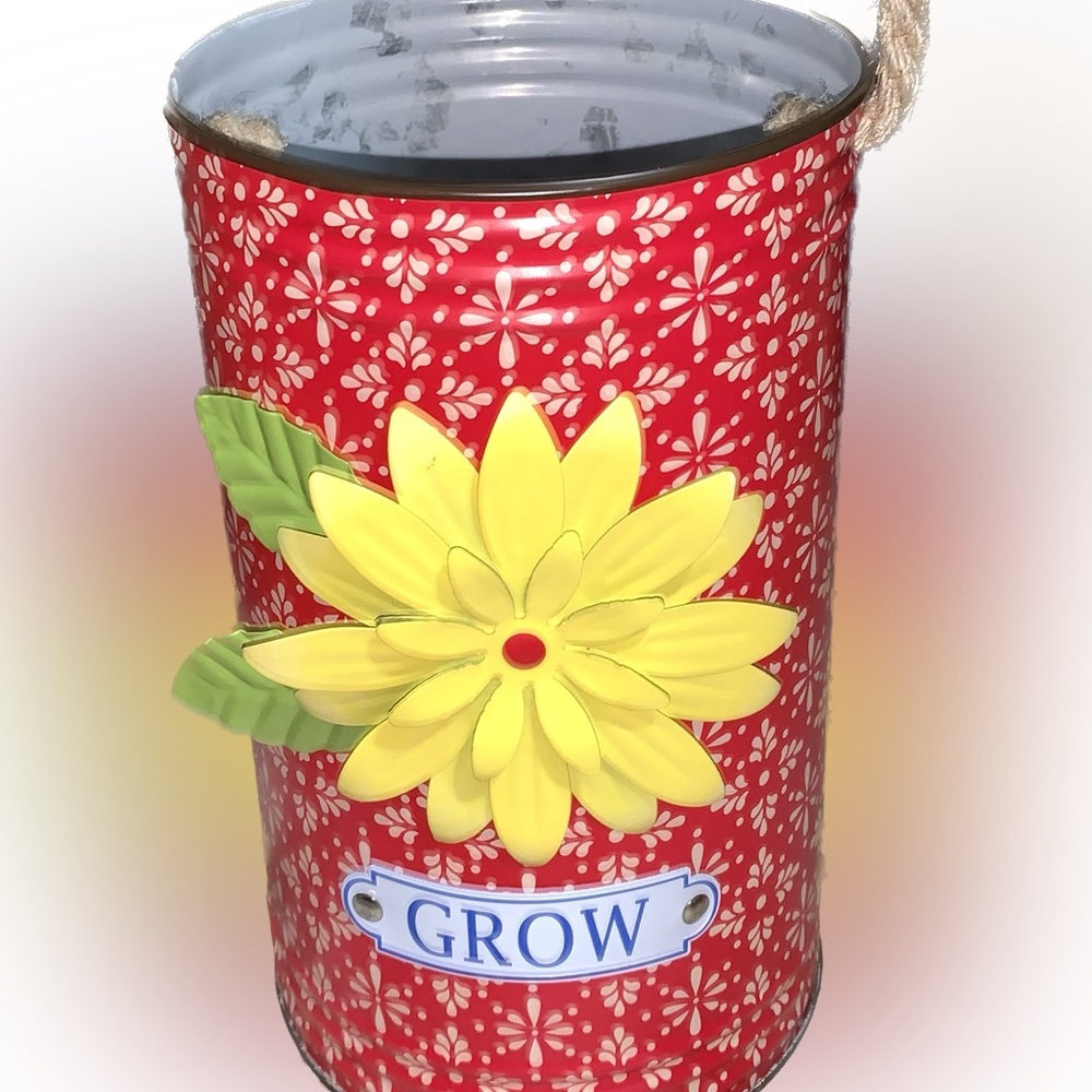 Pioneer Woman Decorative Container Red Floral Grow Flower